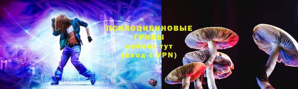 тгк Абаза