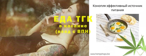 тгк Абаза