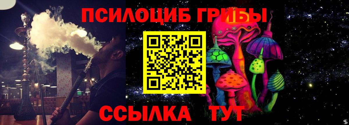 Шумерля  Псилоцибиновые грибы Psilocybe  Вход с VPN  Псилоцибиновые грибы мицелий 